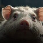 Palpite do dia do Jogo do Bicho de hoje 18/11/2025